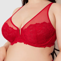 Jessica Lace Full Figure Bra - Fredricks of Hollywood